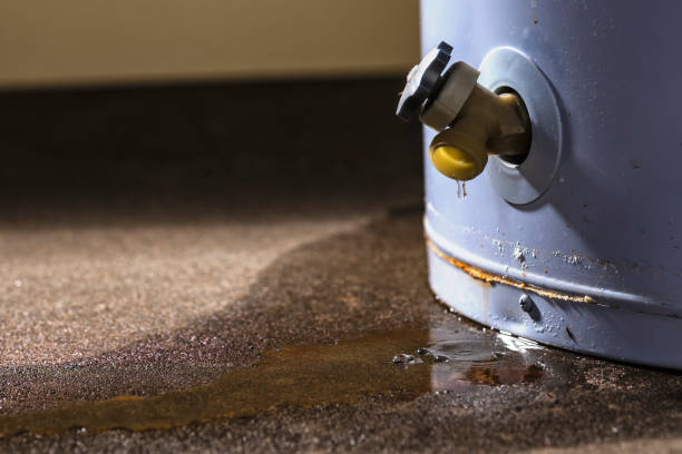 Best Water damage contractors near me  in Country Club Estates, GA