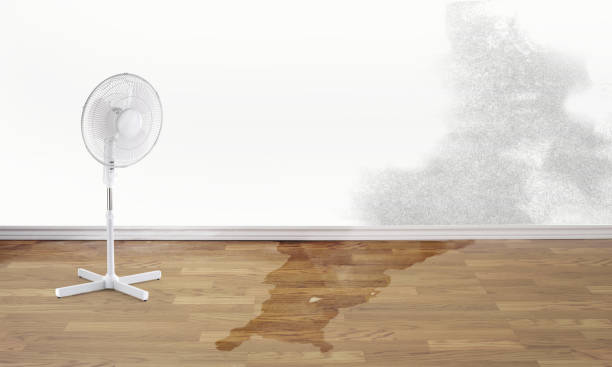 Country Club Estates, GA Water damage restoration Company