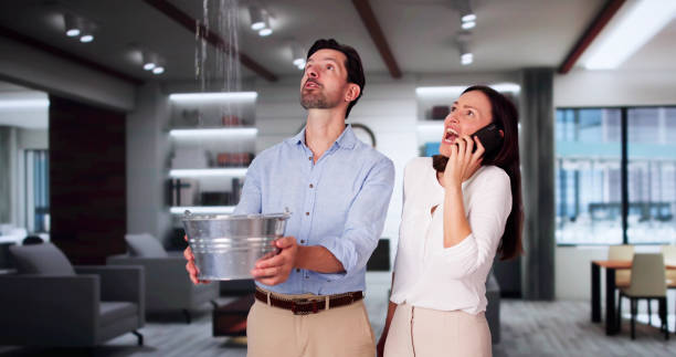 Best Professional water damage repair  in Country Club Estates, GA